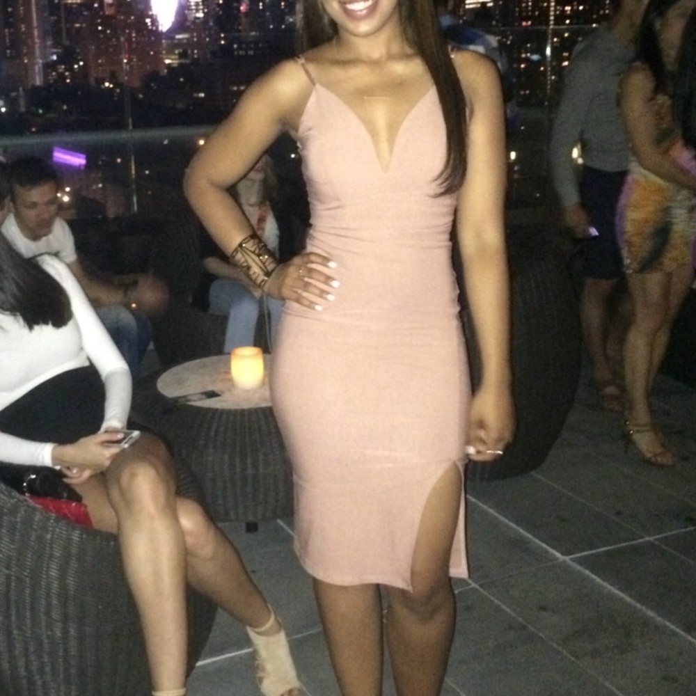 Blush Plunge and Slit Dress